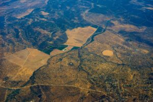 pexels-nikita-anders-11538216