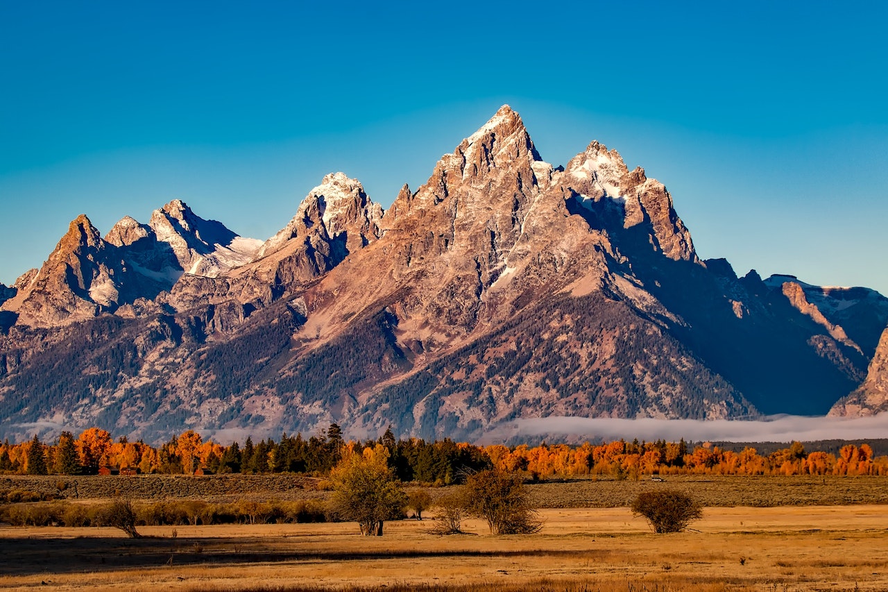 Medioambiente y biodiversidad en la agenda indígena latinoamericana para 2023