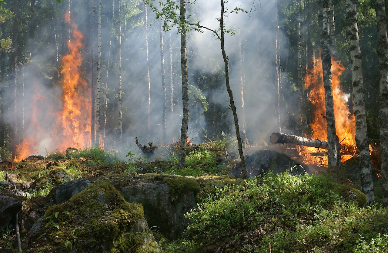 Panamá, con 16.099 incendios forestales en 10 años, lanza campaña preventiva