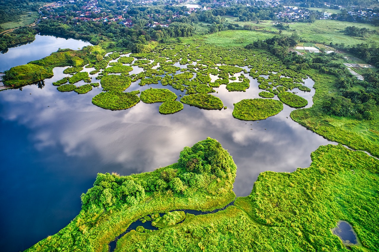 Proyecto de acuerdo sobre biodiversidad de ONU protege 30% del planeta