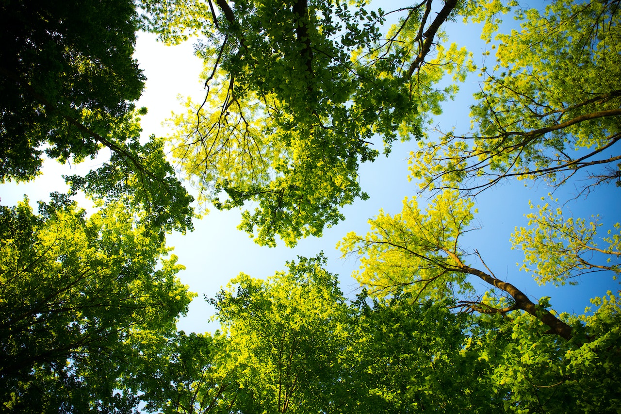 La COP15, aún sin acuerdo para salvar la biodiversidad