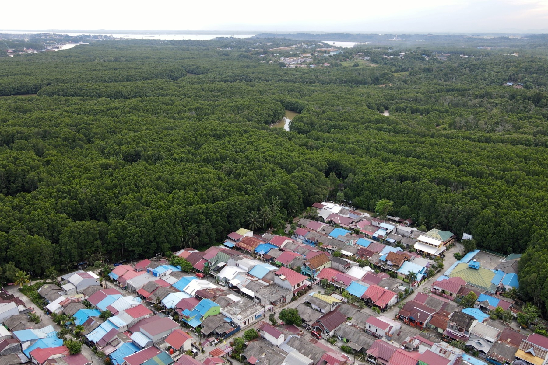 La nueva capital indonesia amenaza el paraíso natural de Borneo