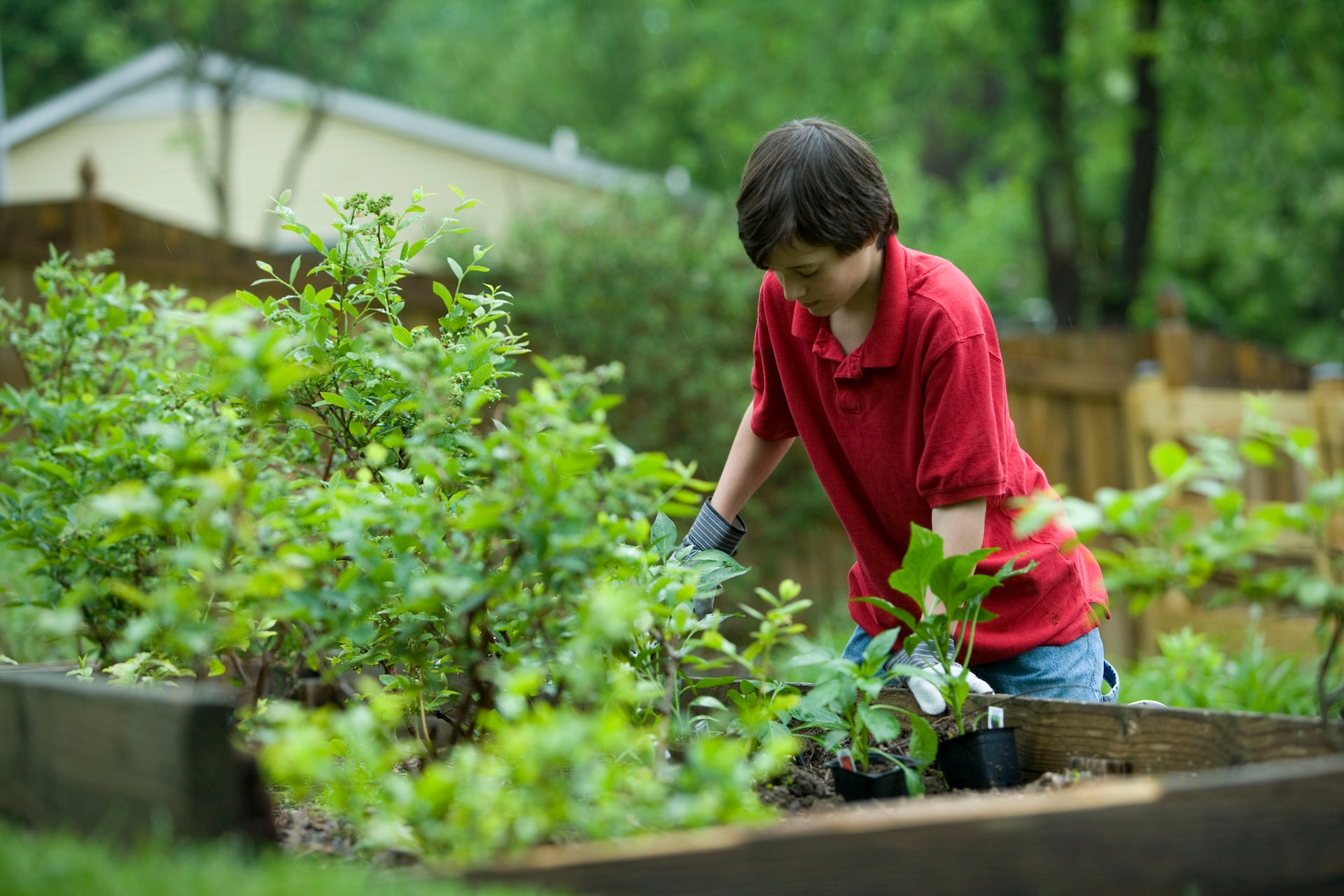 Chilenos se capacitan para ser gestores de cambio socioambiental