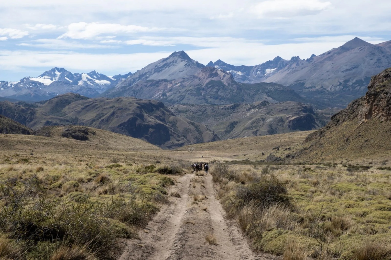 Chile planea restaurar un millón de hectáreas de paisajes naturales para 2030