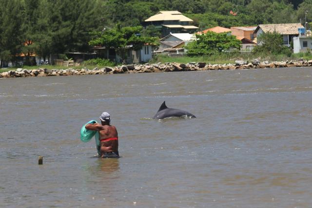 Humanos y delfines: el beneficio mutuo de la pesca sincronizada en Brasil