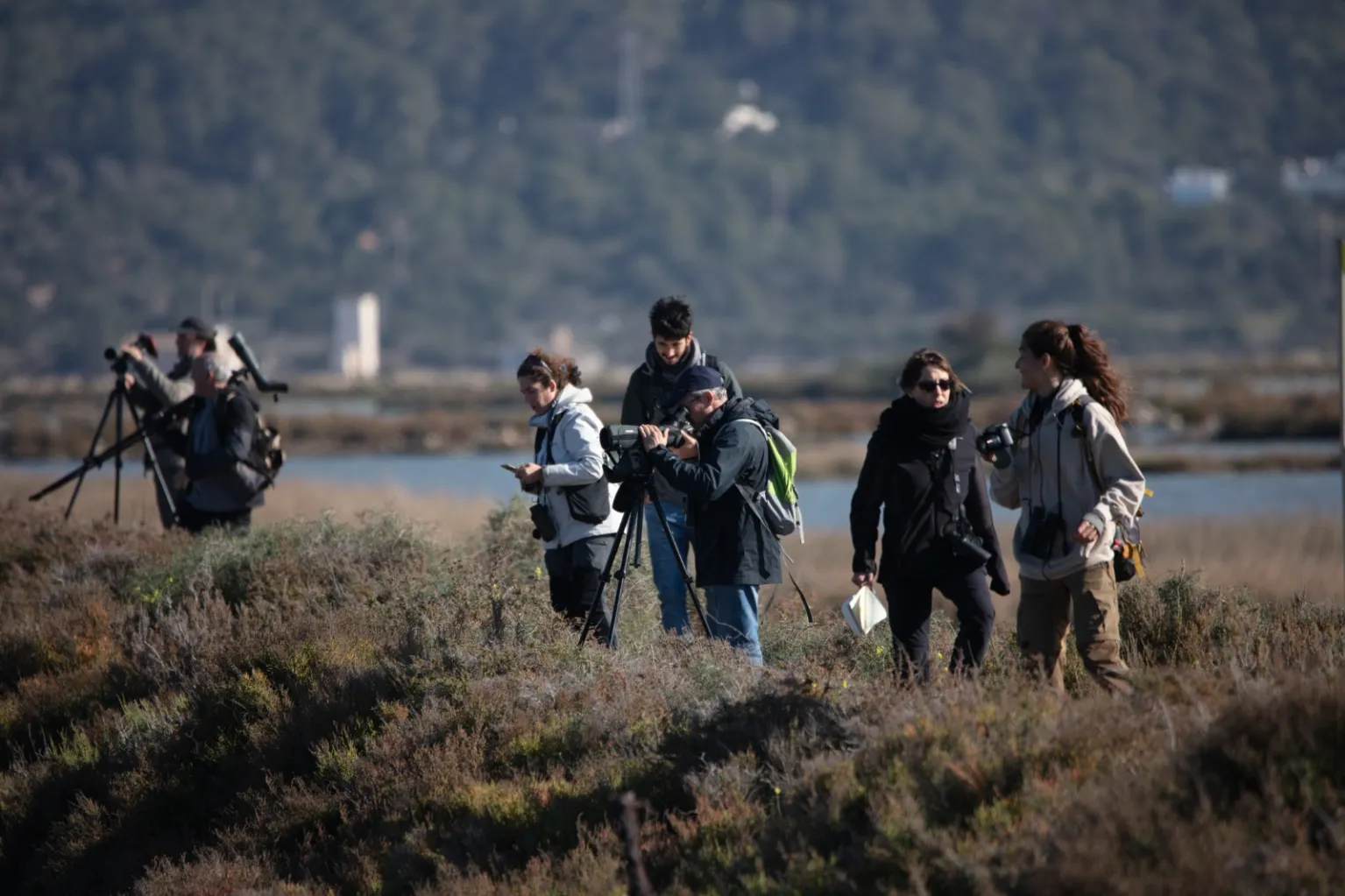 16.000 aves acuáticas pasan el invierno en espacios protegidos de Baleares