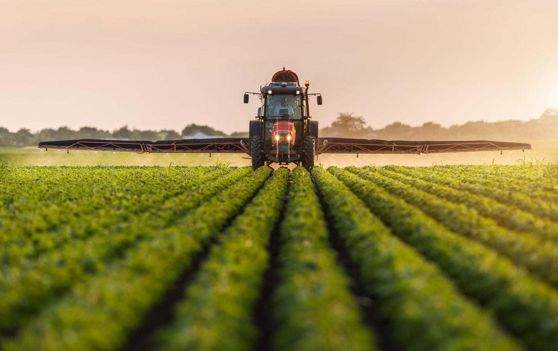 Residuos de petróleo presentes en pesticidas son 8.288 veces más tóxicos