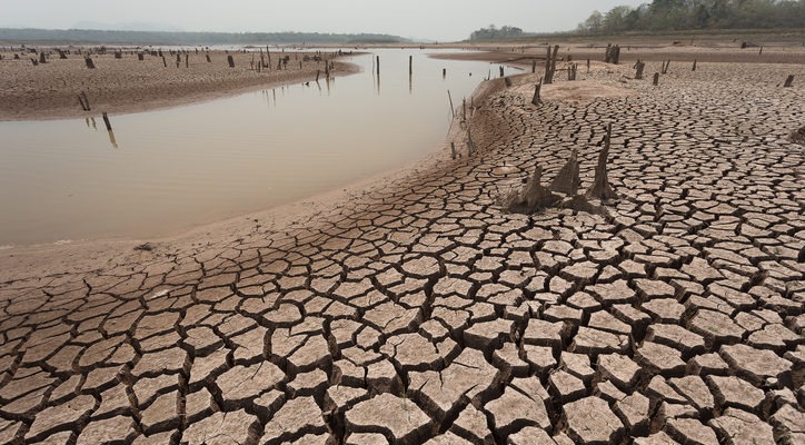 Anfitrión de COP28 pide luchar contra calentamiento global sin afectar crecimiento