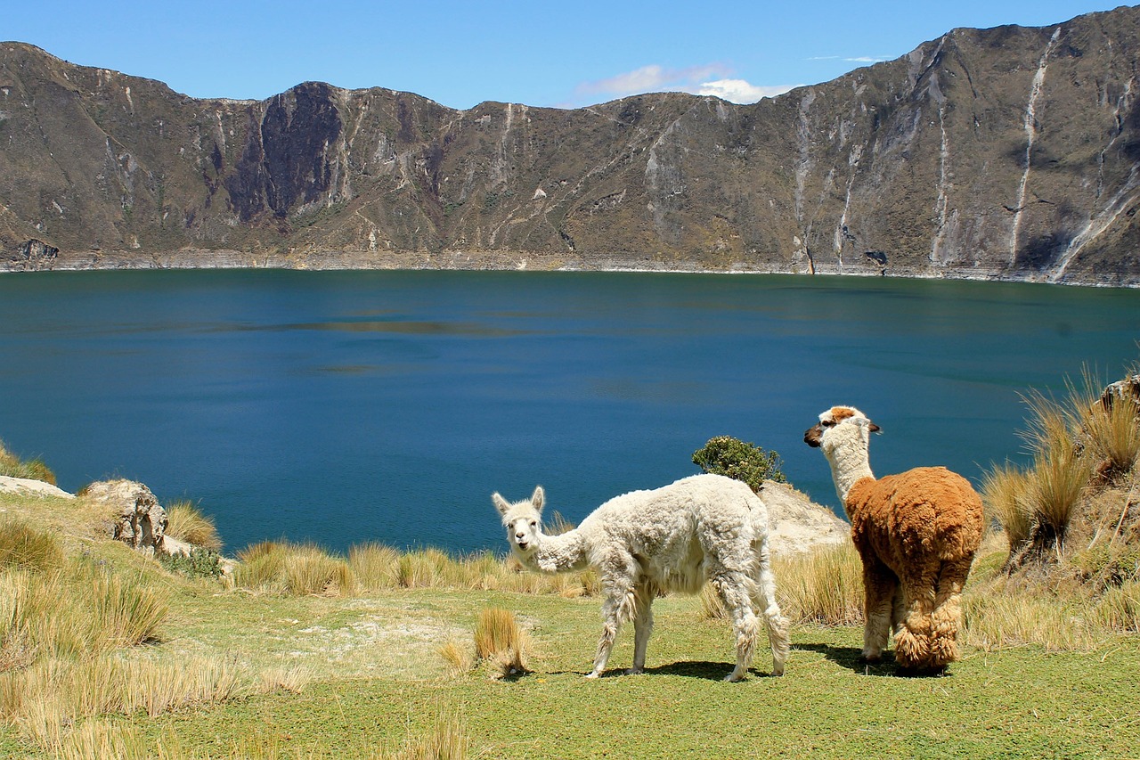 Investigadores ecuatorianos participan en estudio sobre impacto ecológico