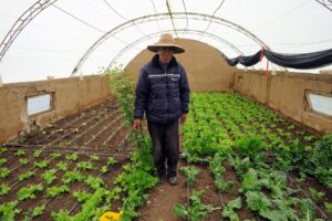 BOLIVIA-CLIMATE-AGRICULTURE-POTATO