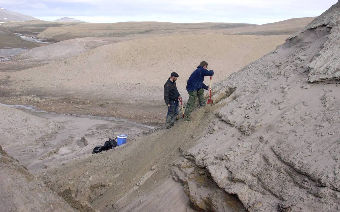 Descubren en Groenlandia un ADN de hace 2 millones de años