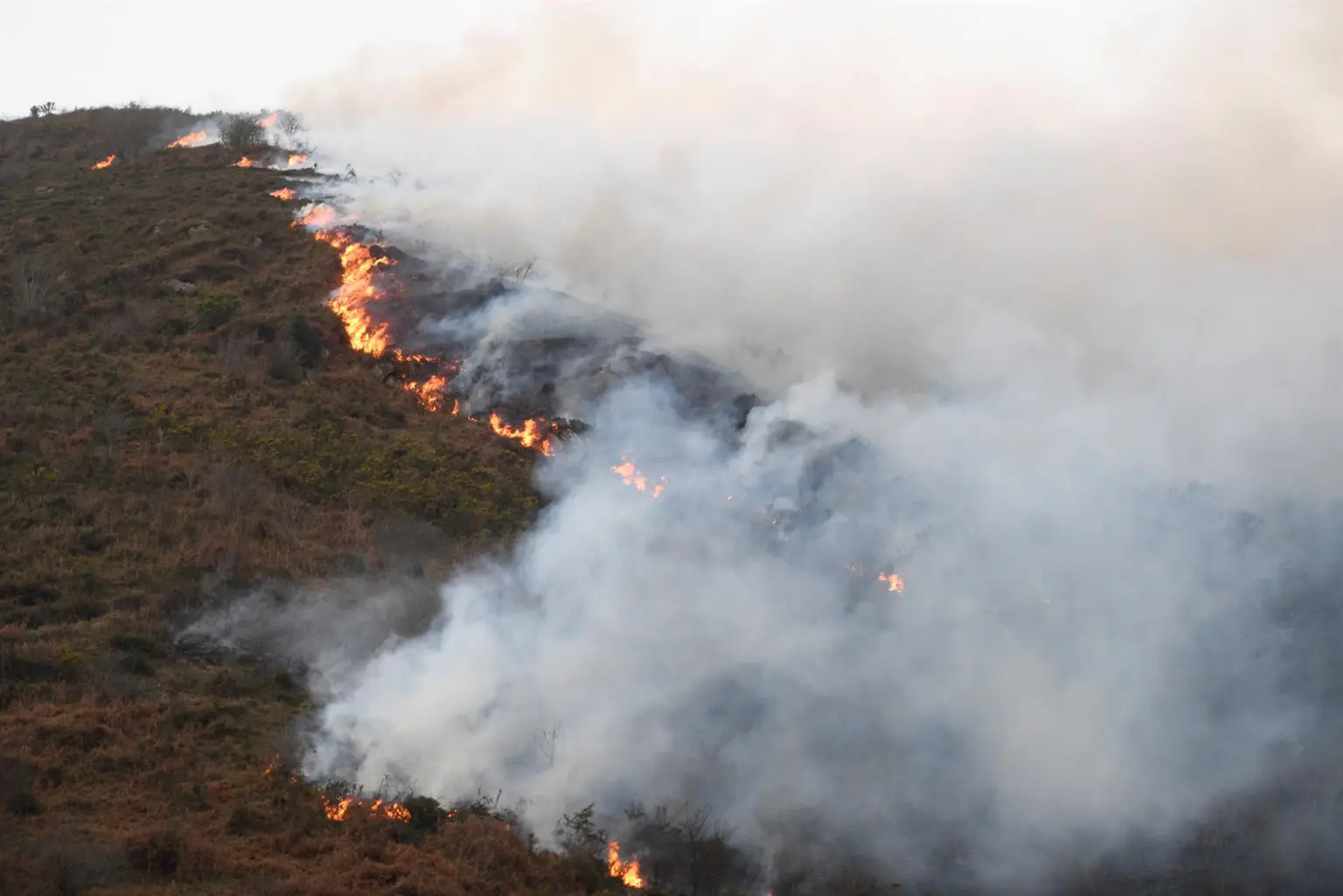 La UE y España abogan por incrementar la prevención ante los incendios forestales