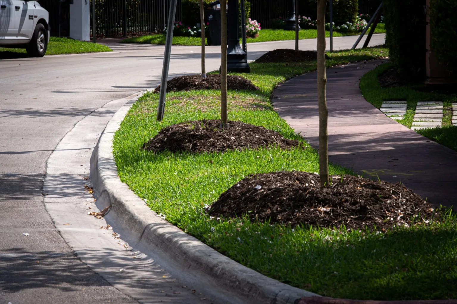 Una aplicación ayudará a modelar ciudades más sostenibles y resilentes frente al cambio climático