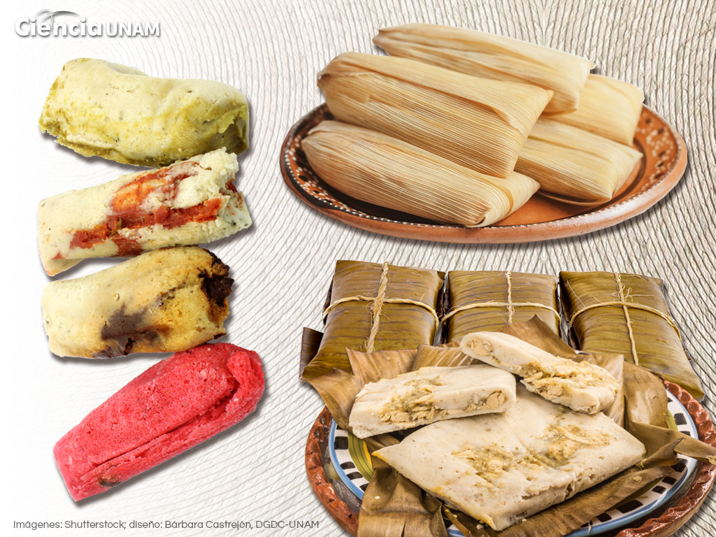 Tamales de México, su historia y sabores