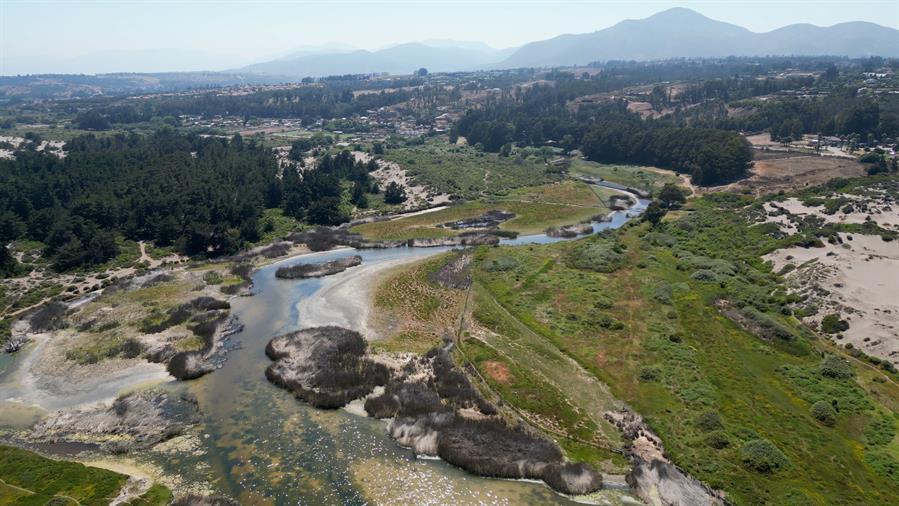 Chile protege 100 humedales urbanos en 3 años para preservar su ecosistema