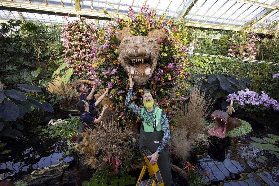 La biodiversidad de Camerún protagoniza el Festival de la Orquídea en Londres