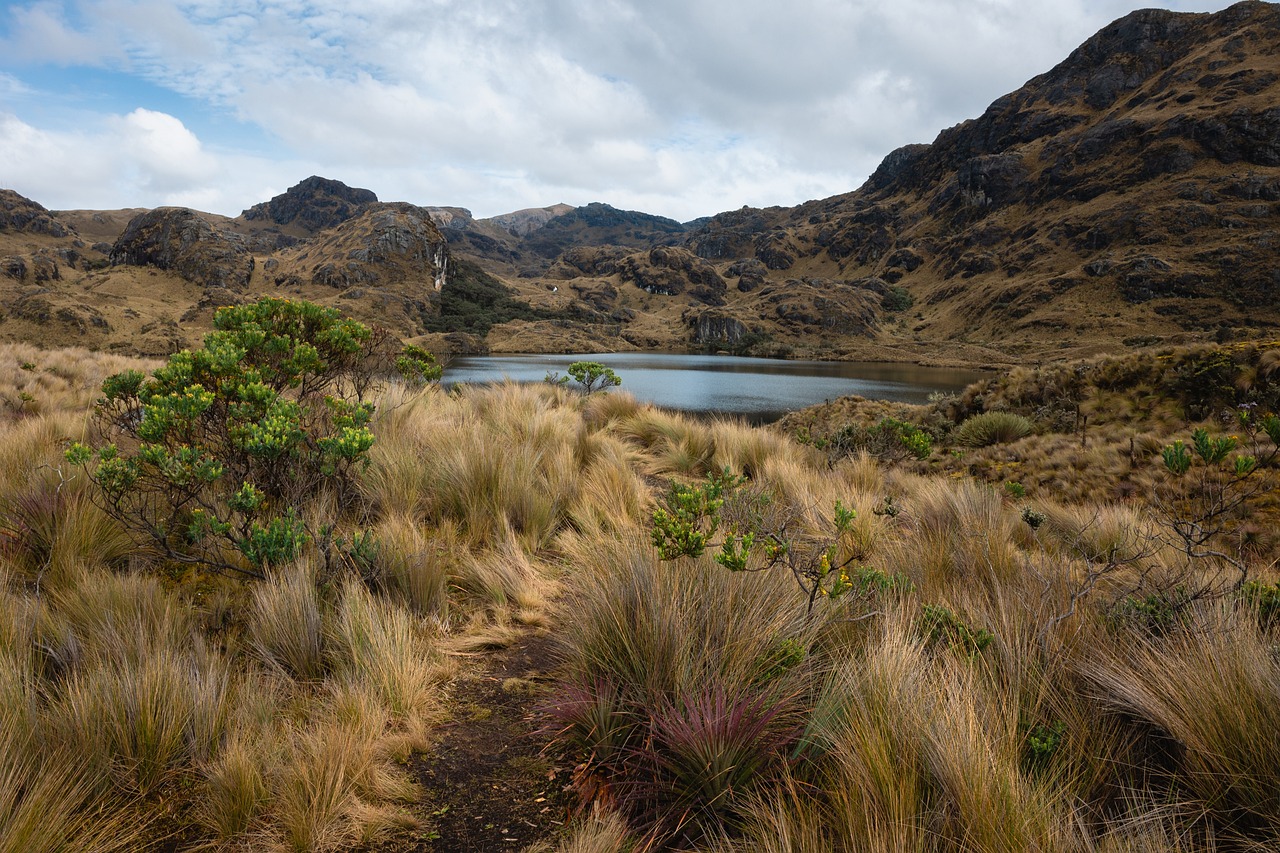 Ecuador presenta su primer Plan Nacional de Adaptación al Cambio Climático