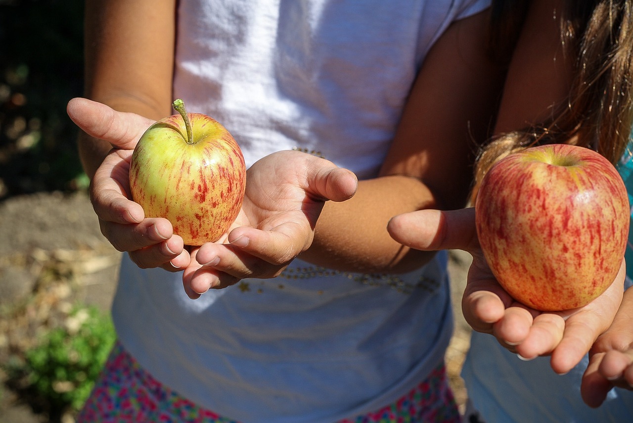 La inseguridad alimentaria aumenta en la niñez colombiana