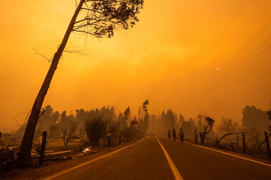 Veinte incendios forestales siguen en combate en la zona centro sur de Chile