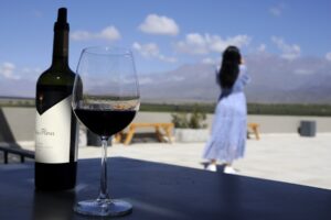 ARGENTINA-ECONOMY-WEATHER-VINICULTURE-WINE