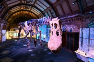 BRITAIN-SCIENCE-DINOSAUR