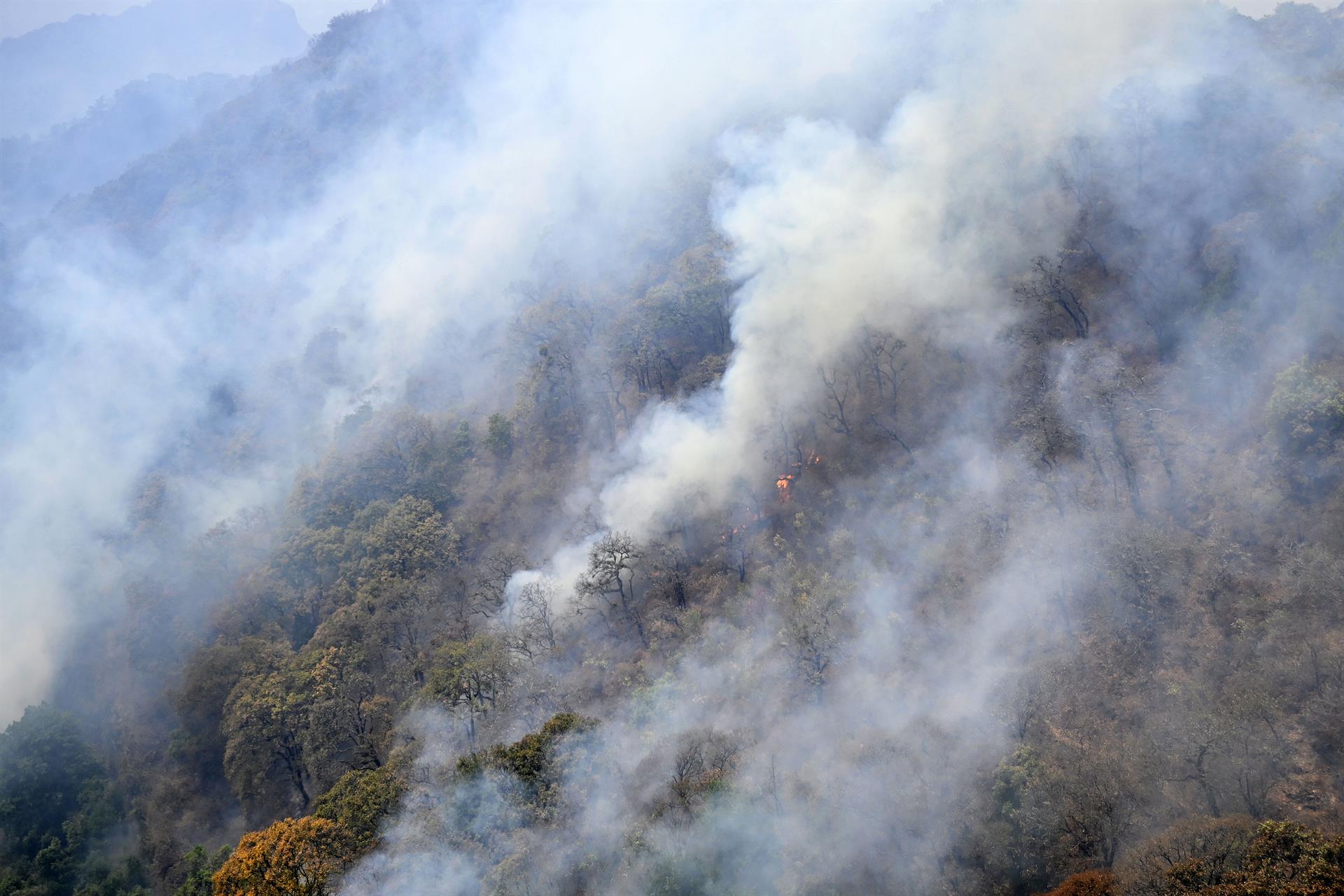 ¿Sabes qué son los pyrocumulus y por qué se generan?