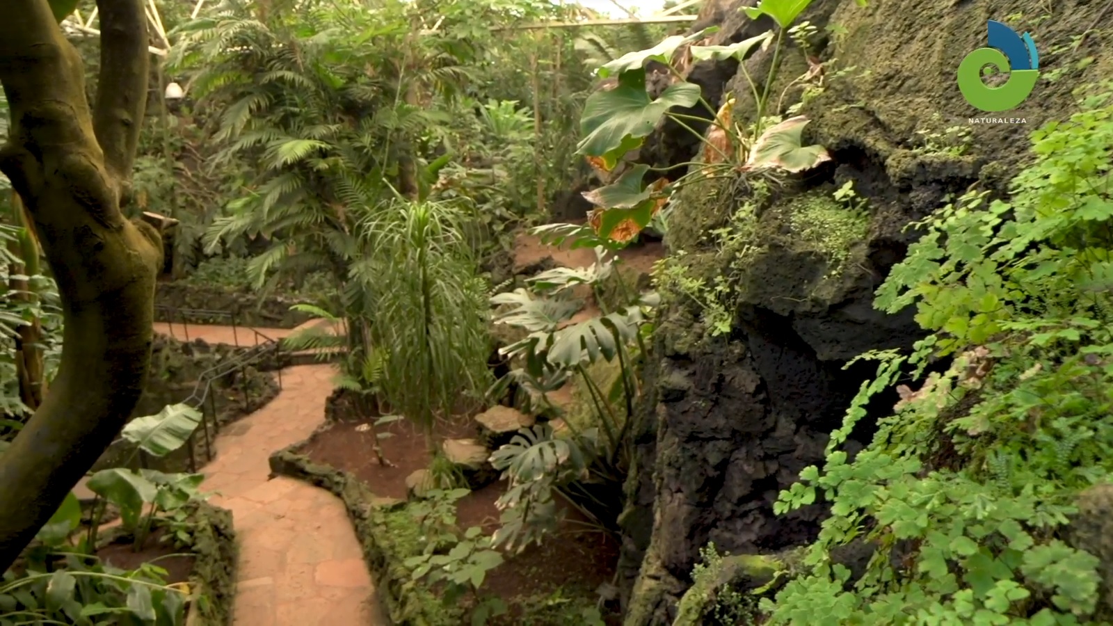 El Jardín Botánico de la UNAM desarrolla programas de conservación