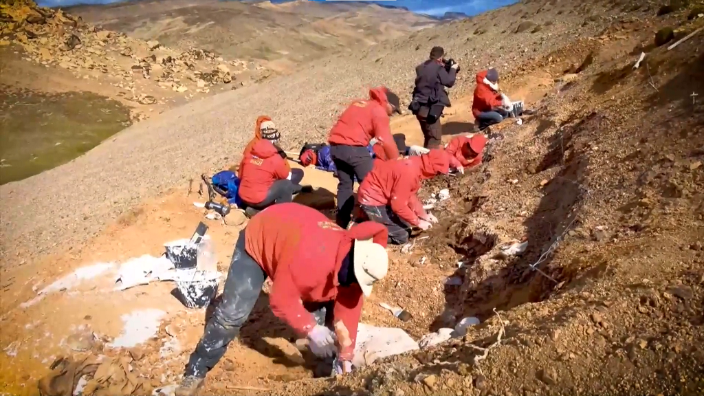 Investigadores descubren en la Patagonia una especie extinta de dinosaurios