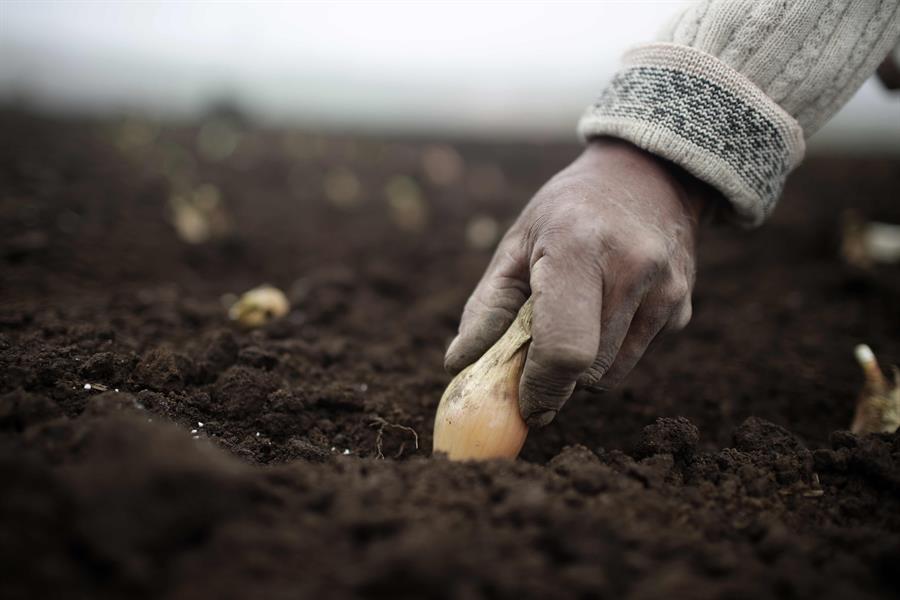 La agricultura, principal responsable del estrés hídrico en Latinoamérica