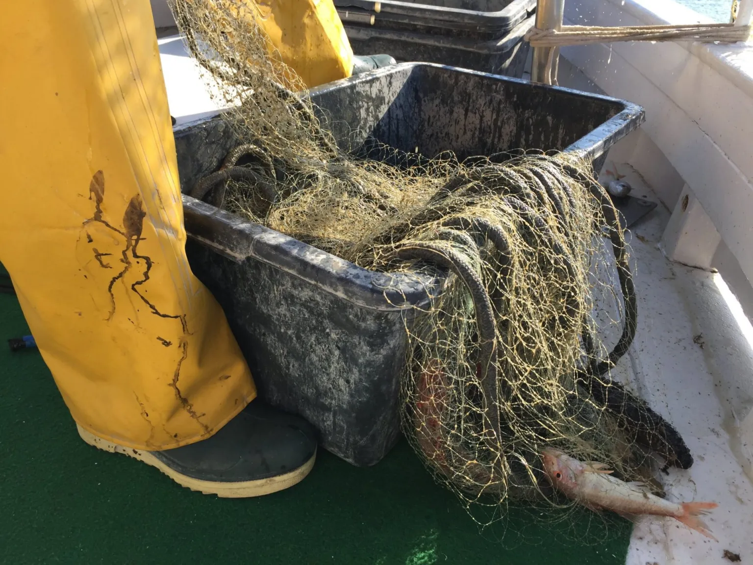 Pescadores de 43 puertos españoles recuperaron 190 toneladas de basura en 2022