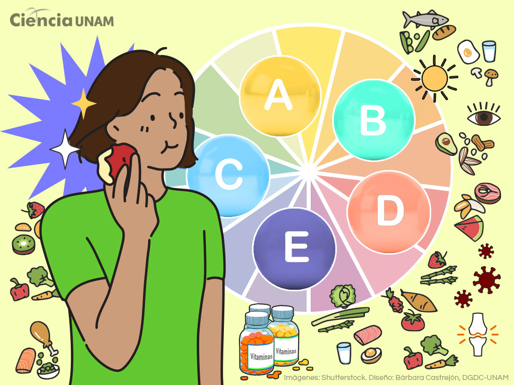 Las vitaminas ¿qué tan responsables son de nuestra salud?