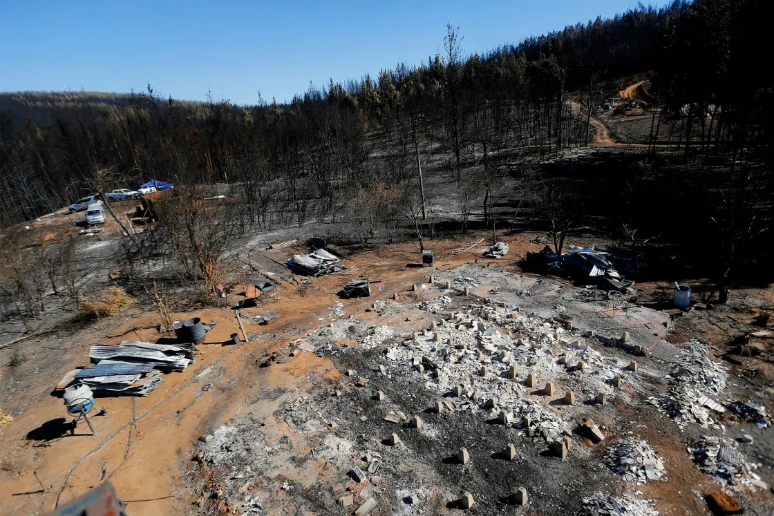 FAO llama a priorizar la prevención de incendios forestales en Latinoamérica