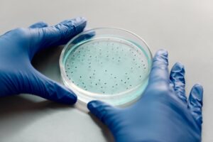 143-4 CIENCIA_mutaciónvirus_Foto de Edward Jenner https __www.pexels.com_es-es_foto_manos-investigacion-ciencia-guantes-4031370_