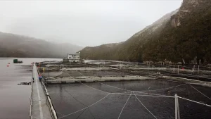 31e7a428900d30c5d6c775742b8ad35d2832a200w-1536×864