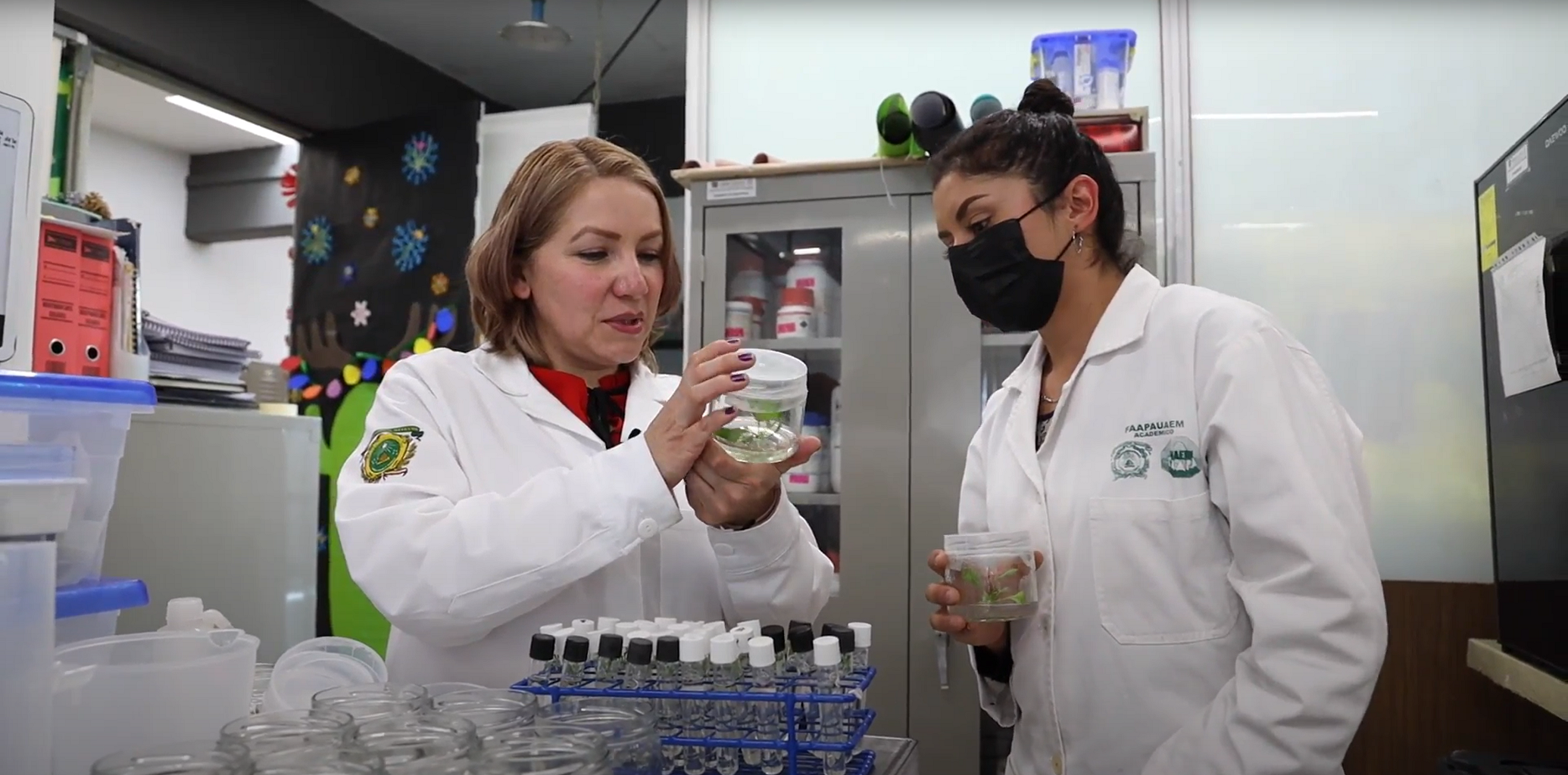 Investigadora analiza el potencial de plantas medicinales en la biotecnología