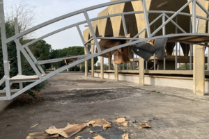 542-7-CULTURA-ellibano_Foto EFE_Noemí Jabois