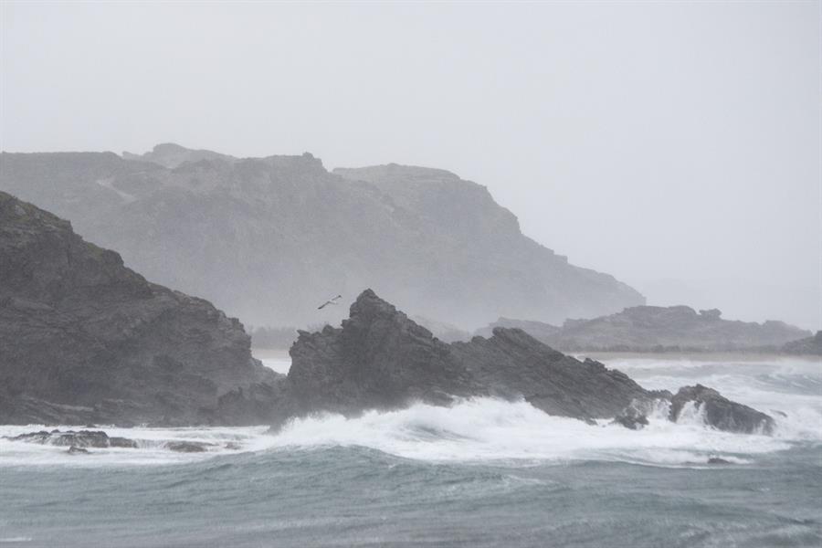 Biólogos alertan de los efectos del calentamiento sobre los microbios marinos