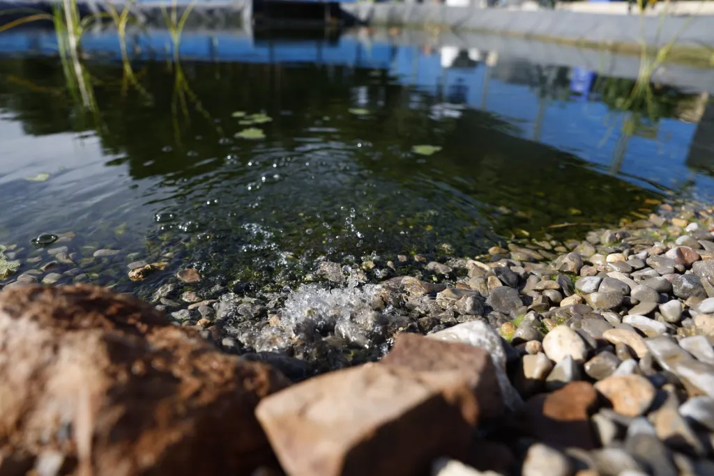 Depurar agua con lodos de potabilizadora reduce la presencia de fósforo un 80 %