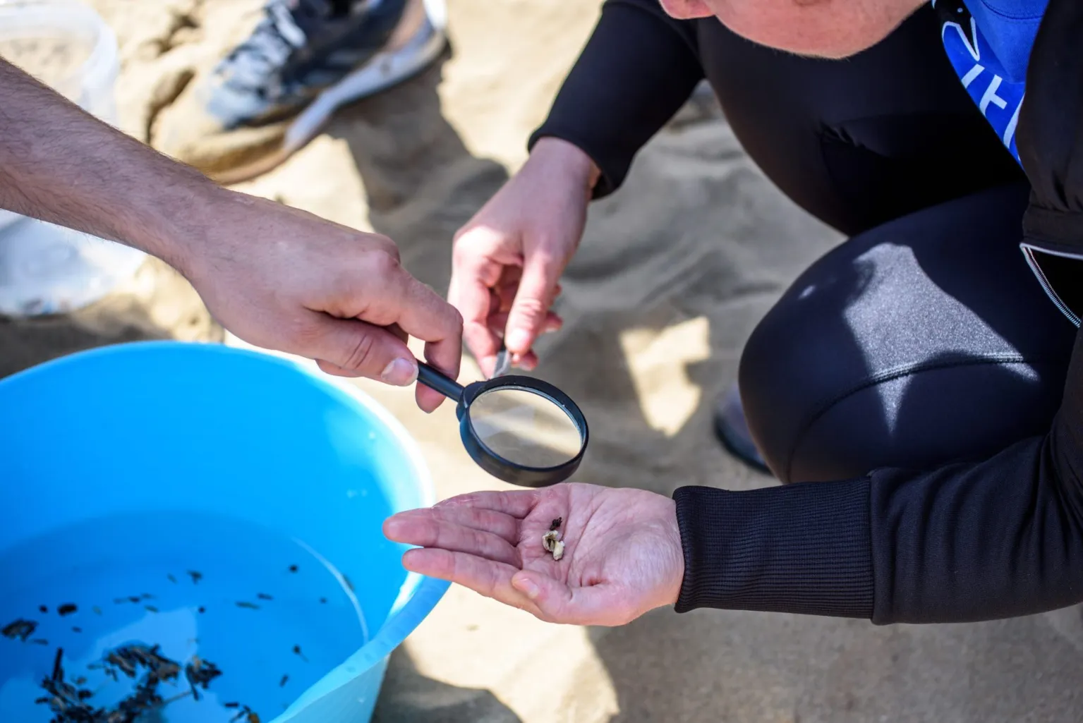 Alertan de cómo los microplásticos pueden llegar a los ecosistemas naturales