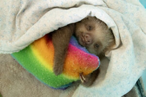 WhatsApp Image 2023-04-28 at 1.15.23 PM