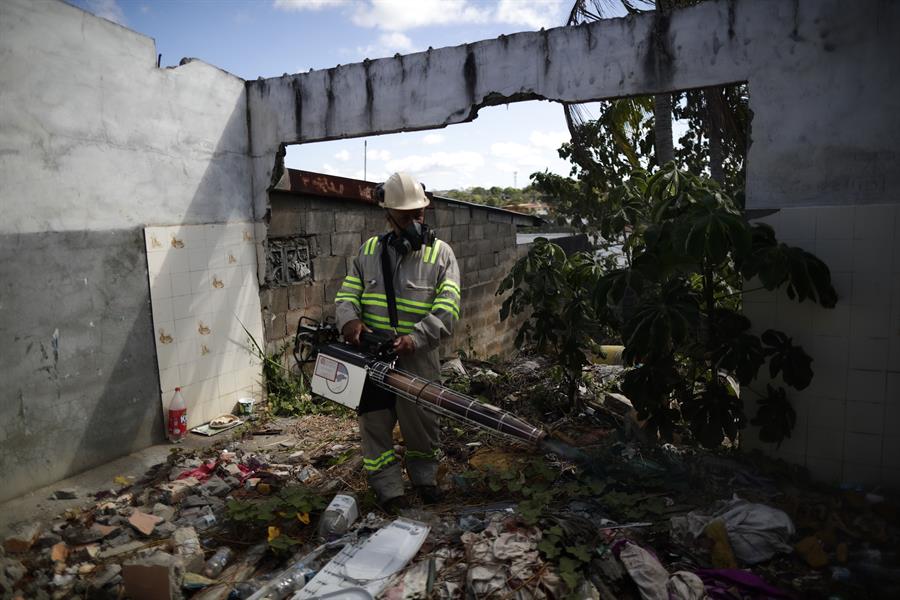 Latinoamérica lucha contra dengue y chikungunya con crisis climática en contra