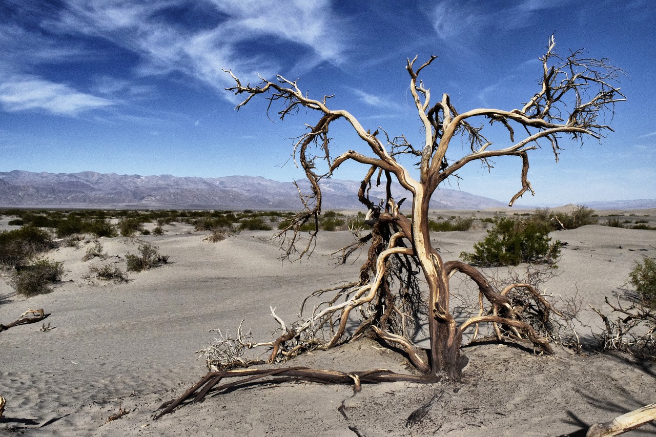 La FAO advierte de la posibles sequías en América ante la llegada de El Niño