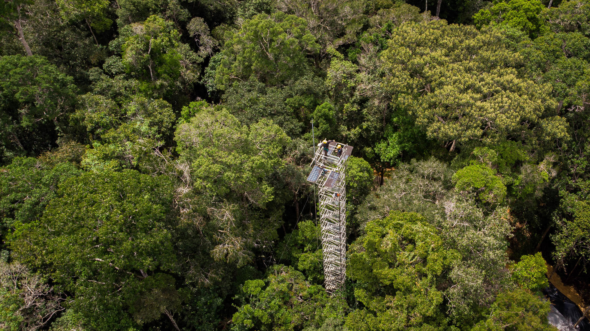 Crean laboratorio en Brasil para observar efectos del cambio climático