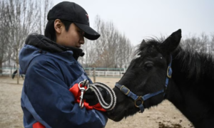 551-2-CIENCIA_Caballo-clonado_JADE-GAO-AFP