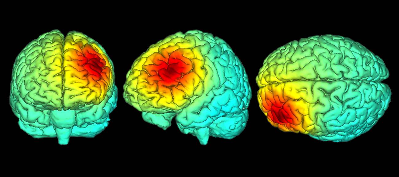 Cómo modular las predicciones emocionales con estimulación cerebral no invasiva