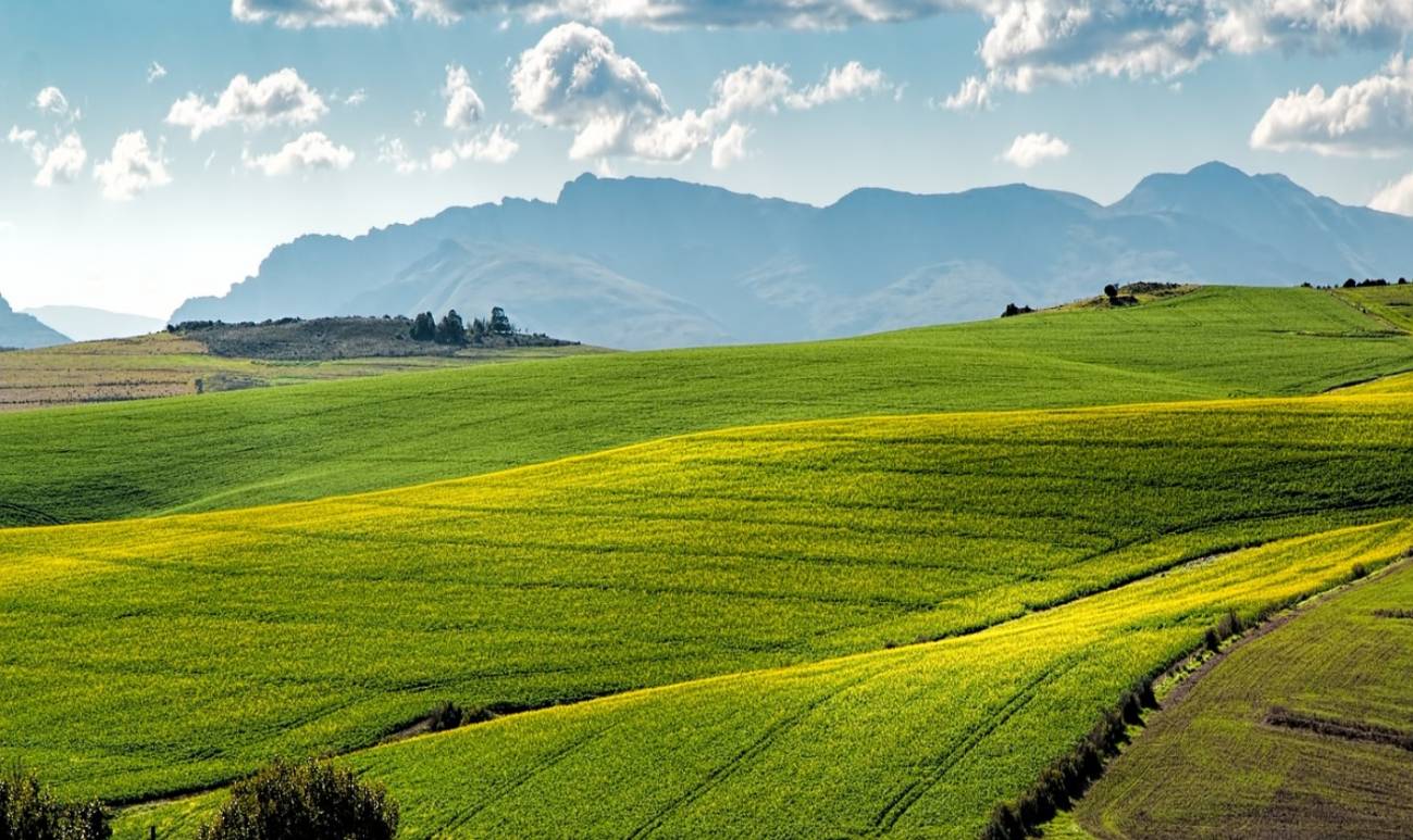 La importancia de la biodiversidad del suelo en la agricultura