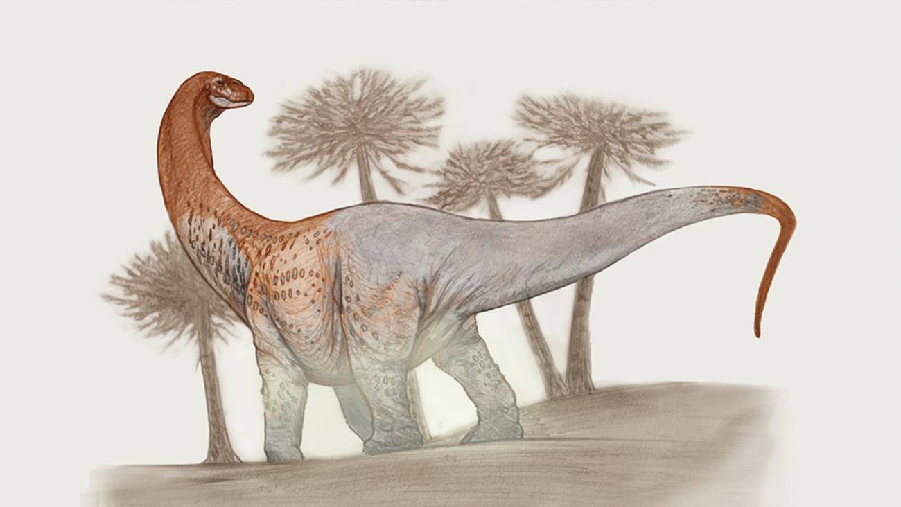 Nueva especie de dinosaurio gigante encontrada en la Patagonia