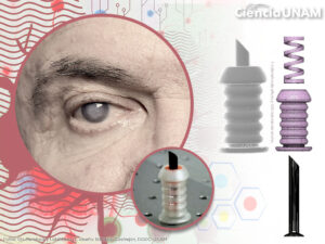 ar_biomimetica_02_19062019