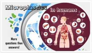 ilustracion-microplasticos-humanos