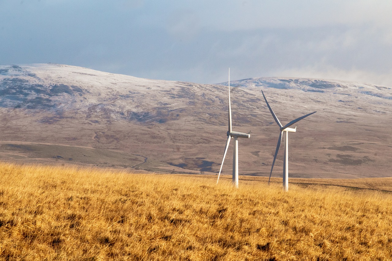 Australia y Estados Unidos acuerdan acelerar la transición hacia las energías limpias